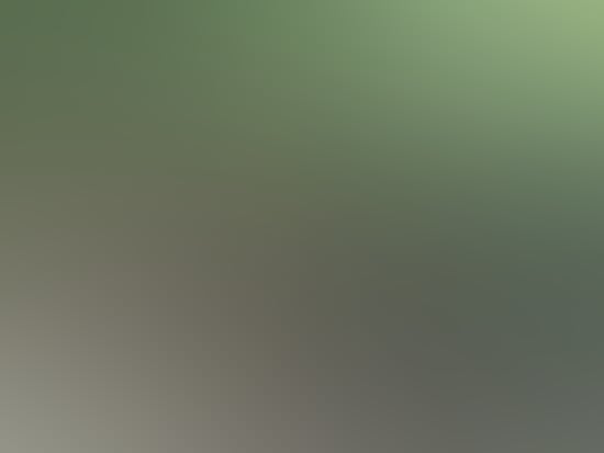 20150824image1 article1