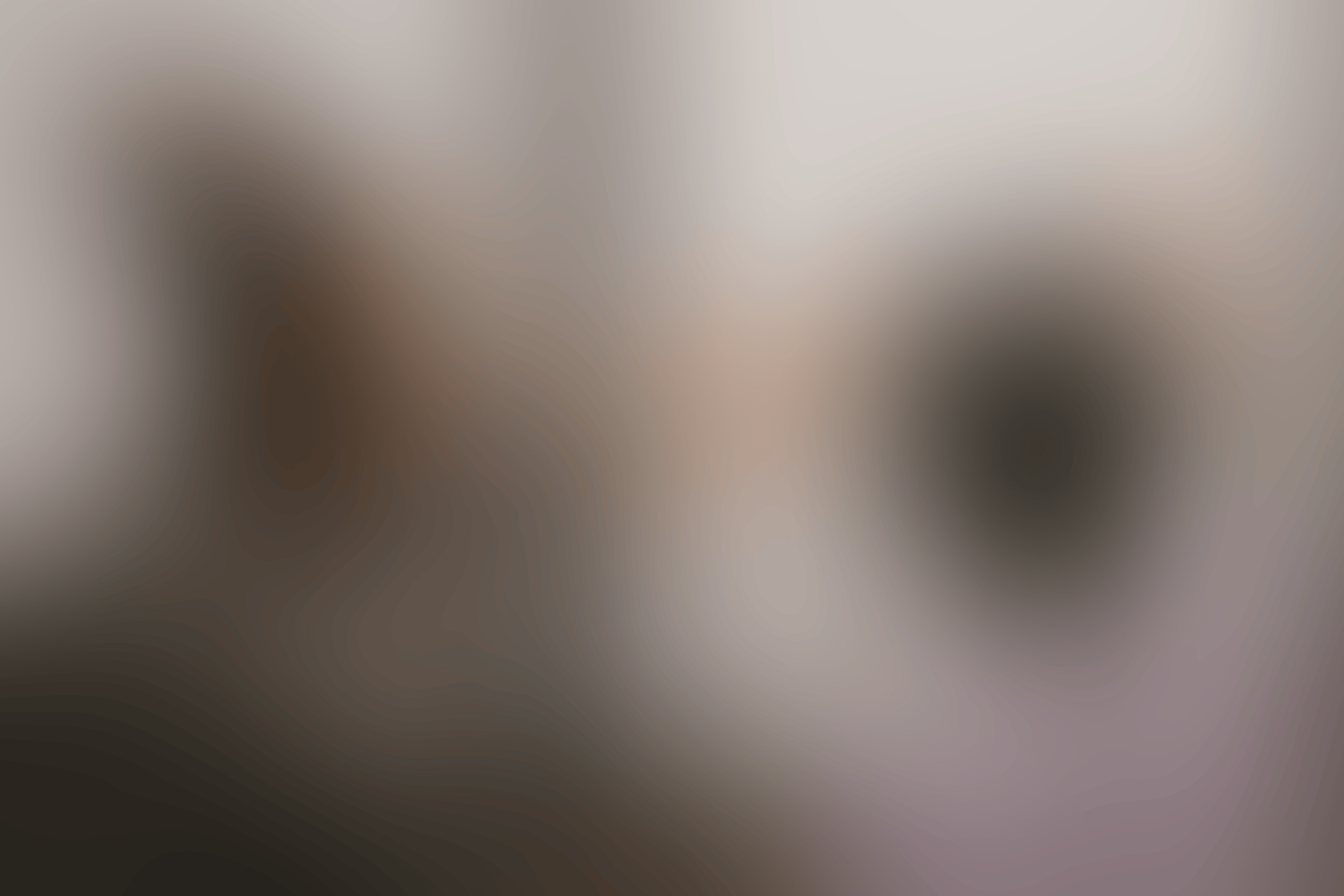 2025 Website Photos 28 2