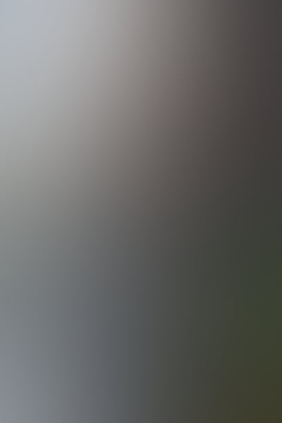 66d9455d 73e7 4bb7 8d97 aa82b849a4a0