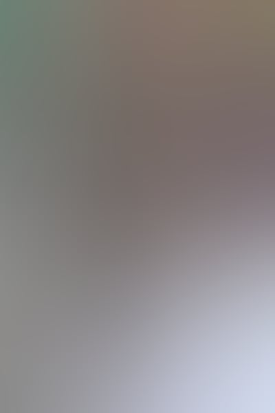 73a02515 d51b 4efb a453 78be1a033a05