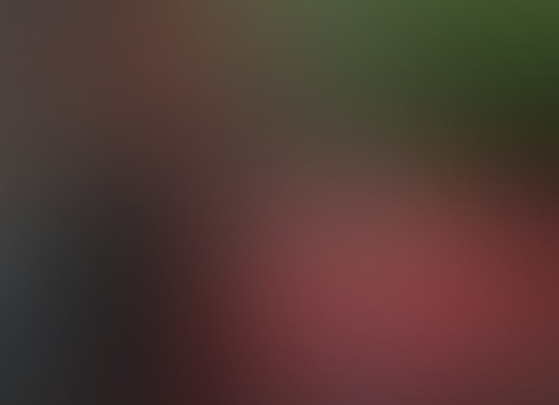 865bc521 909d 4c77 99e6 aeedbc1e7f11