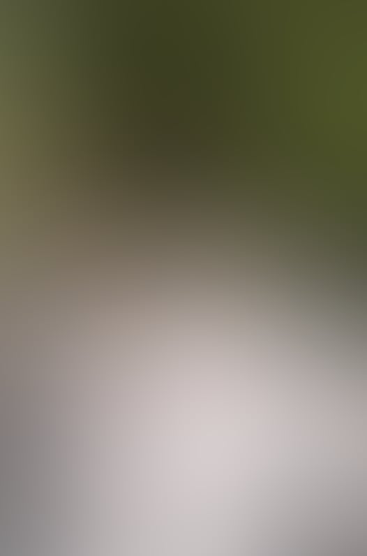 892f34ce cf5c 450b 9984 774c30145a6b