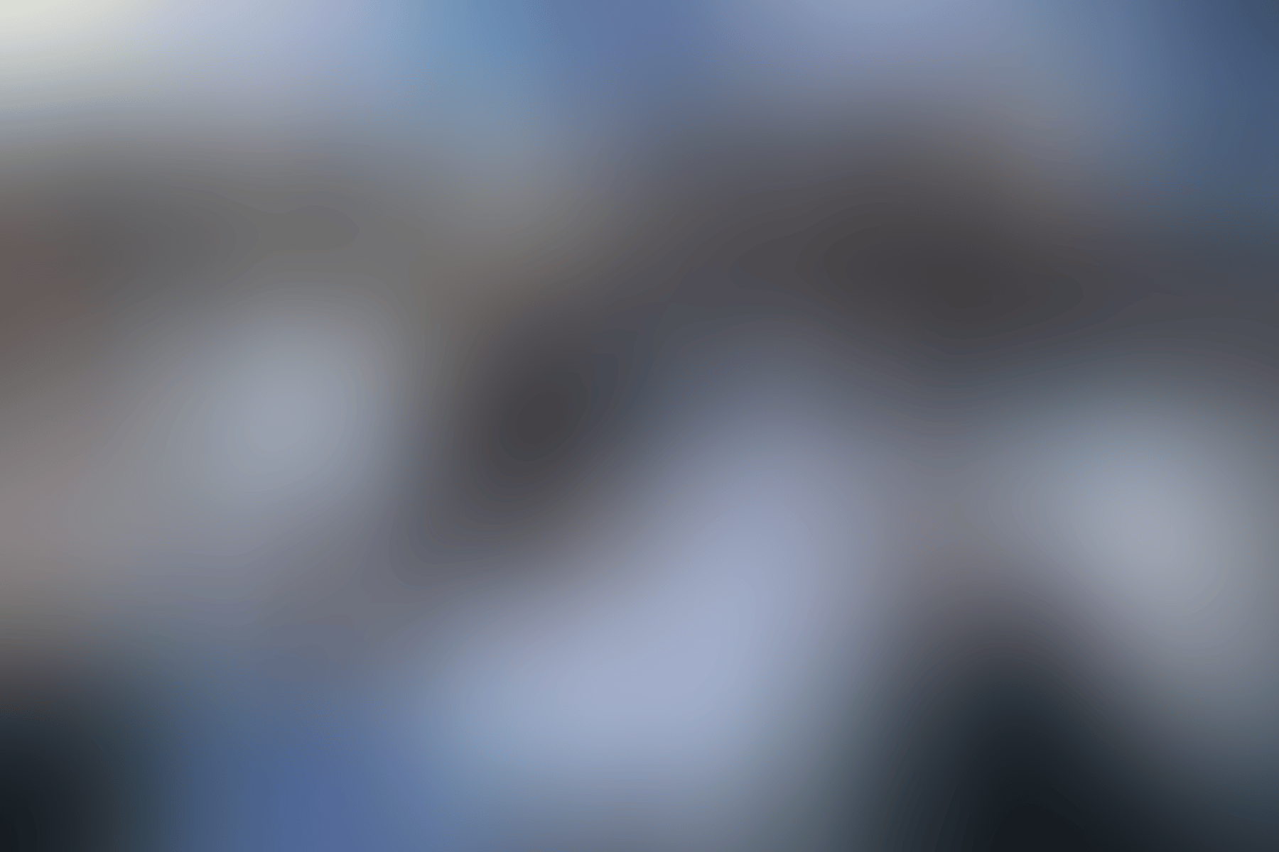 Fall 2025 Hotel Voice images 2 2