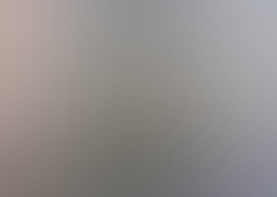 IMG 0025